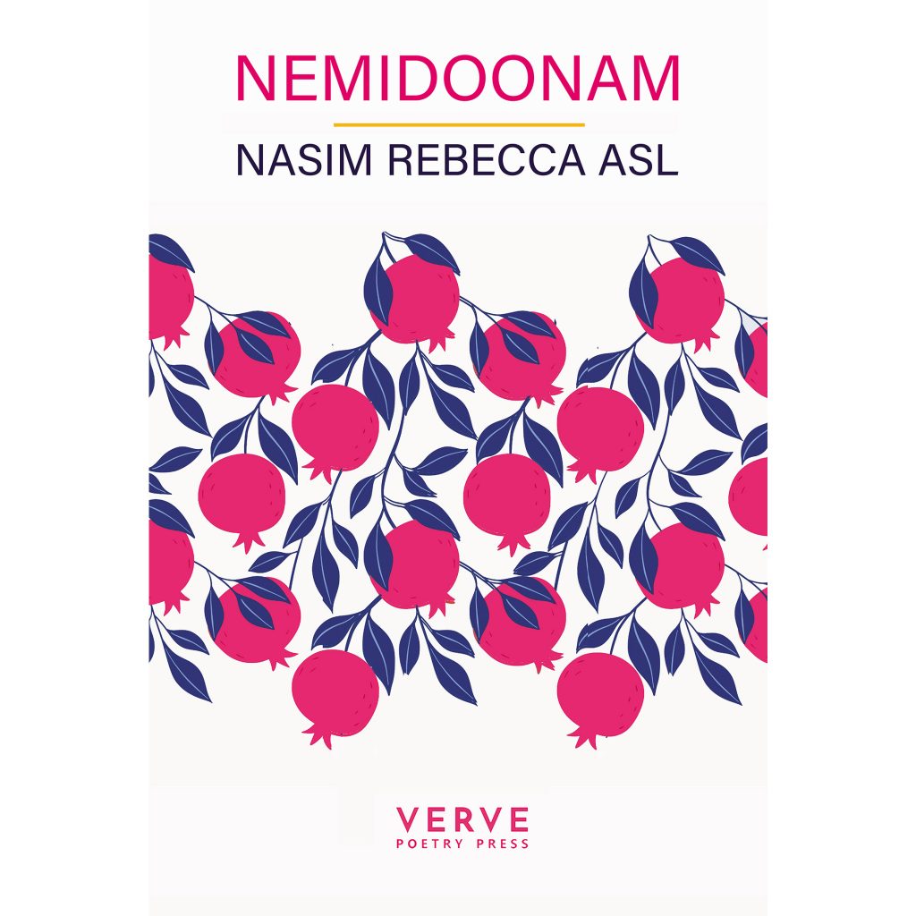 Nasim Rebecca Asl Nemidoonam 2023 Verve Poetry Press 