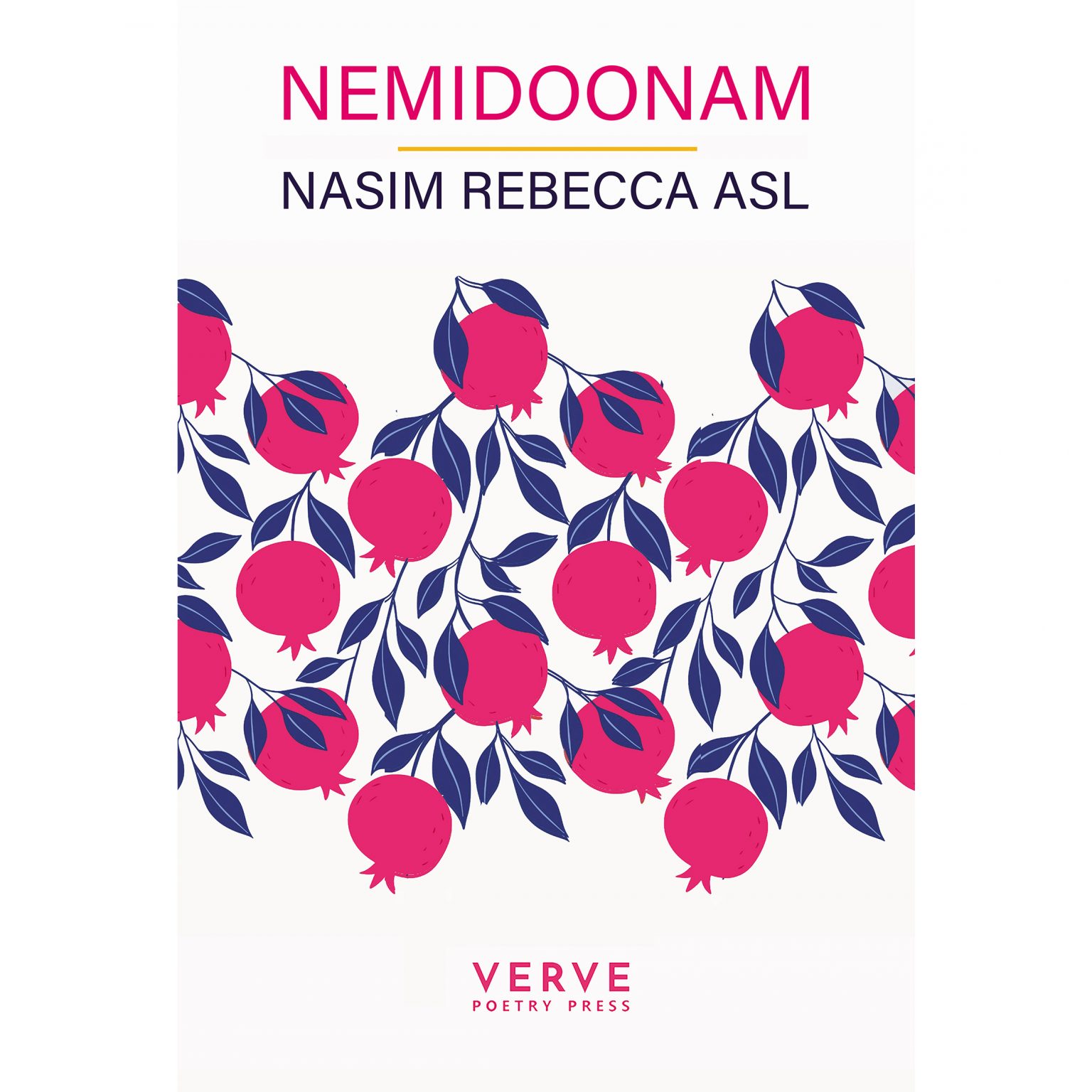 nasim-rebecca-asl-nemidoonam-2023-verve-poetry-press